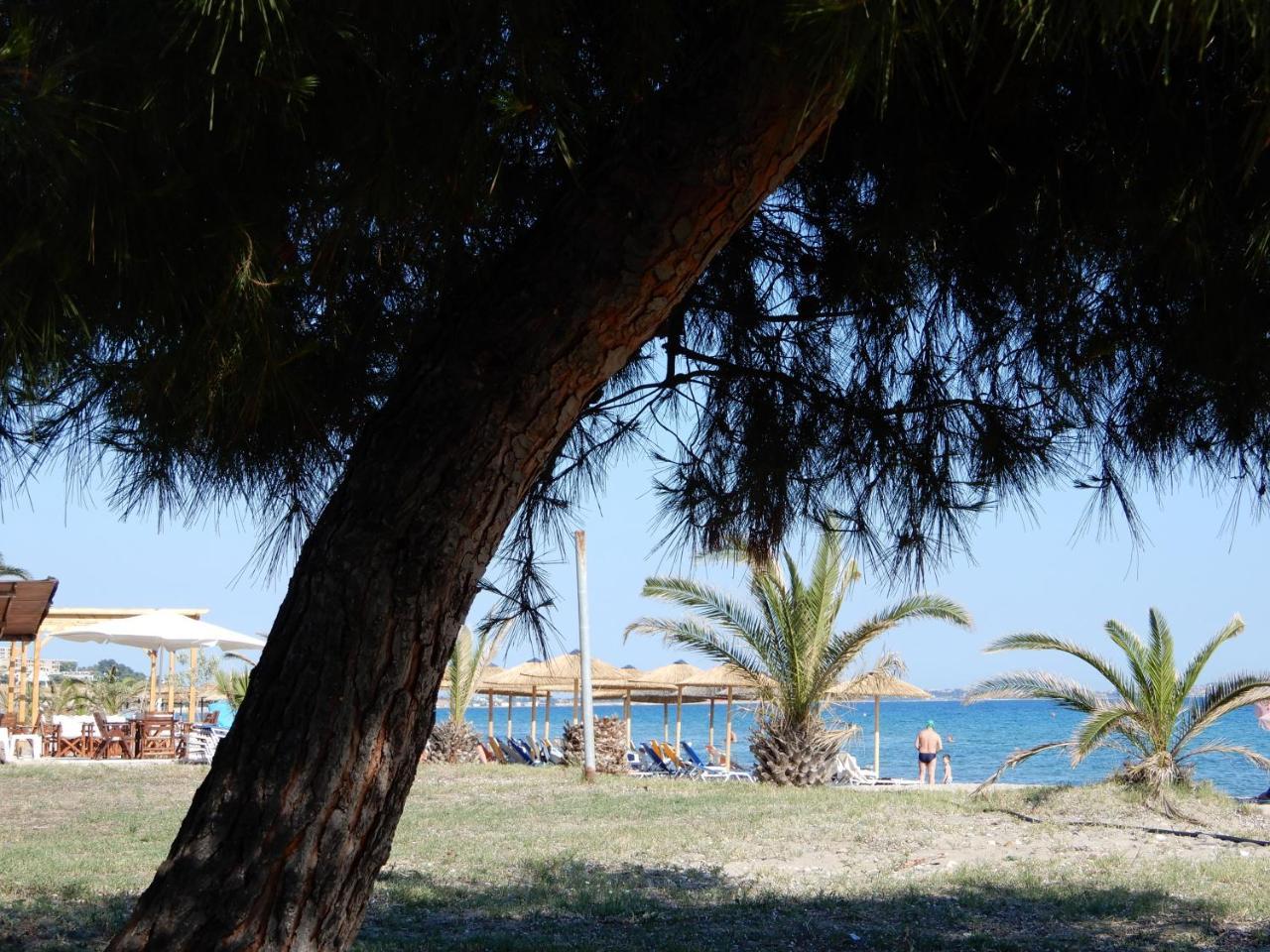 Sunshine Apartment Paralia Dionysiou Exterior photo